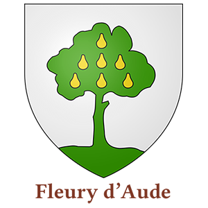 Commune de Fleury-d'Aude - utilisent des armoires BJARSTAL pour protéger leur registres d'état-civil.