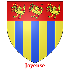 Commune de Joyeuse - utilisent des armoires BJARSTAL pour protéger leur registres d'état-civil.