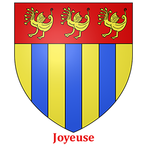 Commune de Joyeuse - utilisent des armoires BJARSTAL pour protéger leur registres d'état-civil.